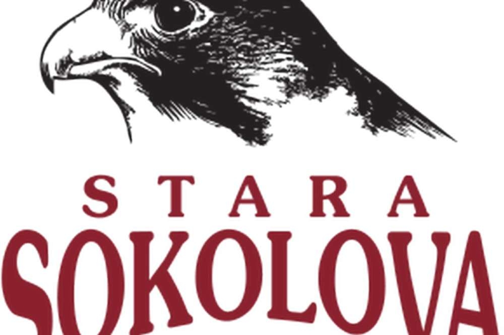 logo_starasokolova